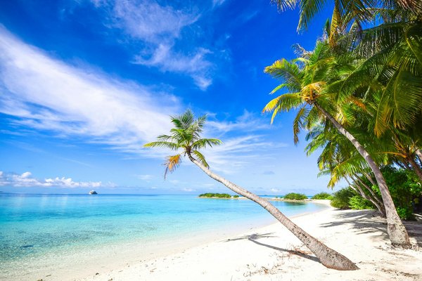 Comment le tourisme d'aventure se réinvente-t-il ?